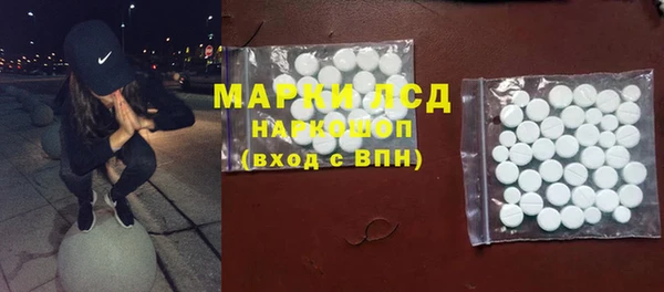 гашик Богданович