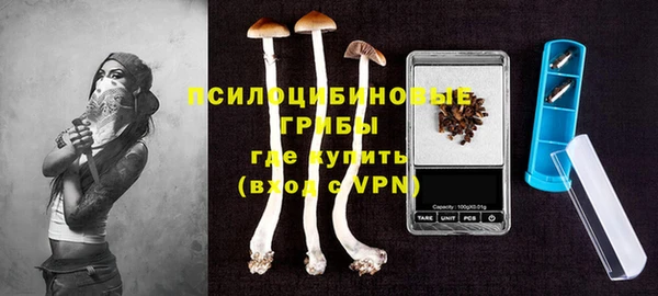 меф Богородицк