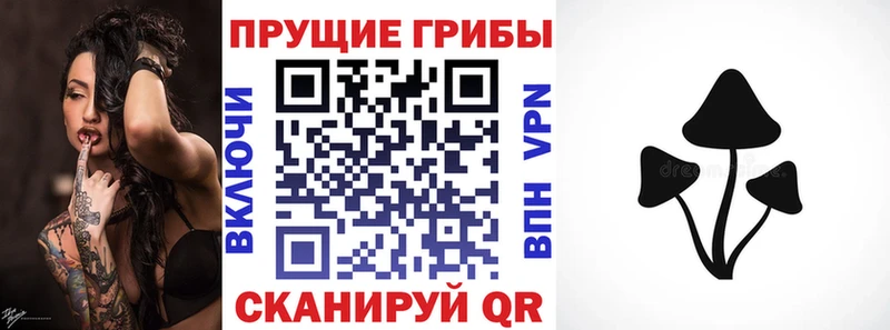 KRAKEN tor  Гудермес  shop формула  Псилоцибиновые грибы мухоморы 